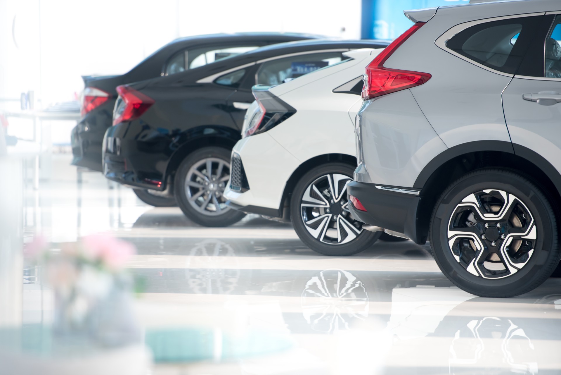 New car advise consultation guidance personal service